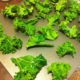 Delicious Veggie Dishes – Kale Chips