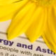 Alternative Treatment Options For Allergies and Asthma