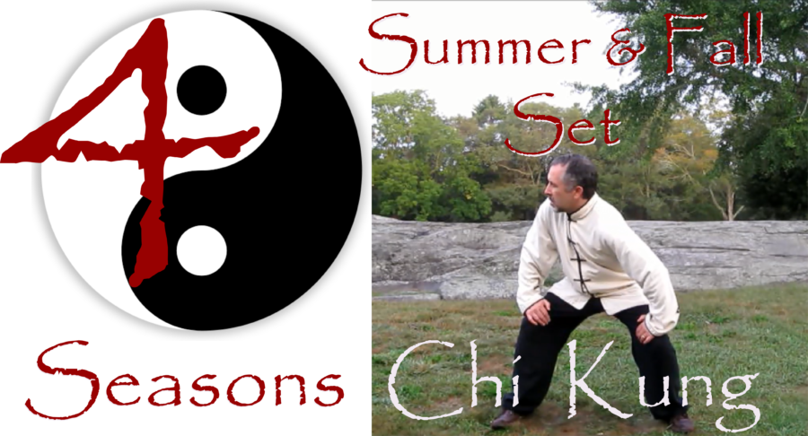 4 Seasons Chi Kung Online - Summer and Fall Set
