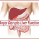 Discover How The Explosive Energy Pattern of Anger Disrupts Liver Function