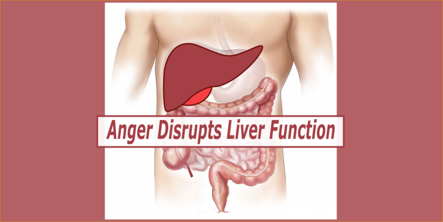 anger disrupts liver function