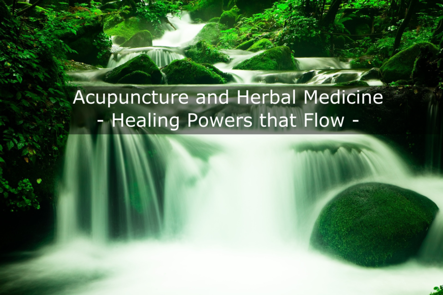 acupuncture and herbal medicine - let it flow