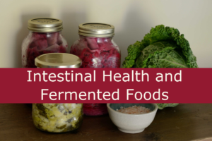 fermented foods and intestinal health
