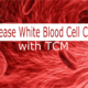 Increase White blood Cell Count with TCM – 5 Methods