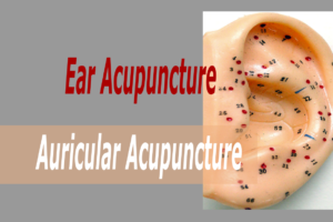Ear Acupuncture - Acupuncture and Herbal Medicine