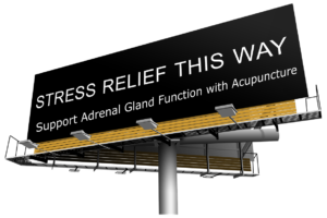 support adrenal gland function with acupuncture