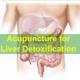 Acupuncture for Liver Detoxification
