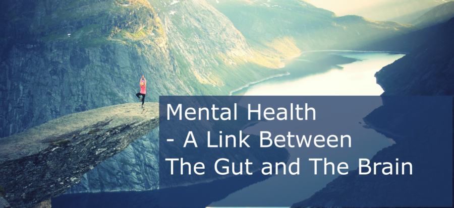 mental health - - A Link Between The Gut and The Brain