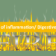 Sources of Inflammation / Digestive Health