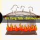 Yin Yang Talk – Balance vs Extremes