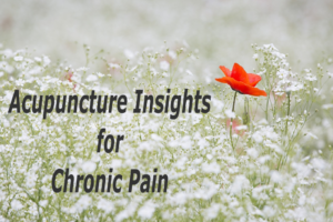 acpuncture insights for chronic pain