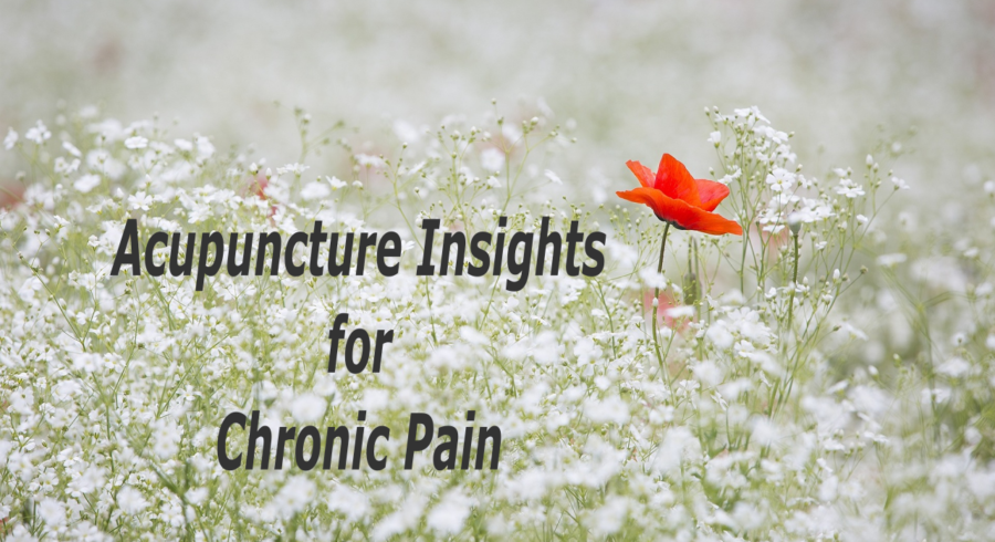 acpuncture insights for chronic pain